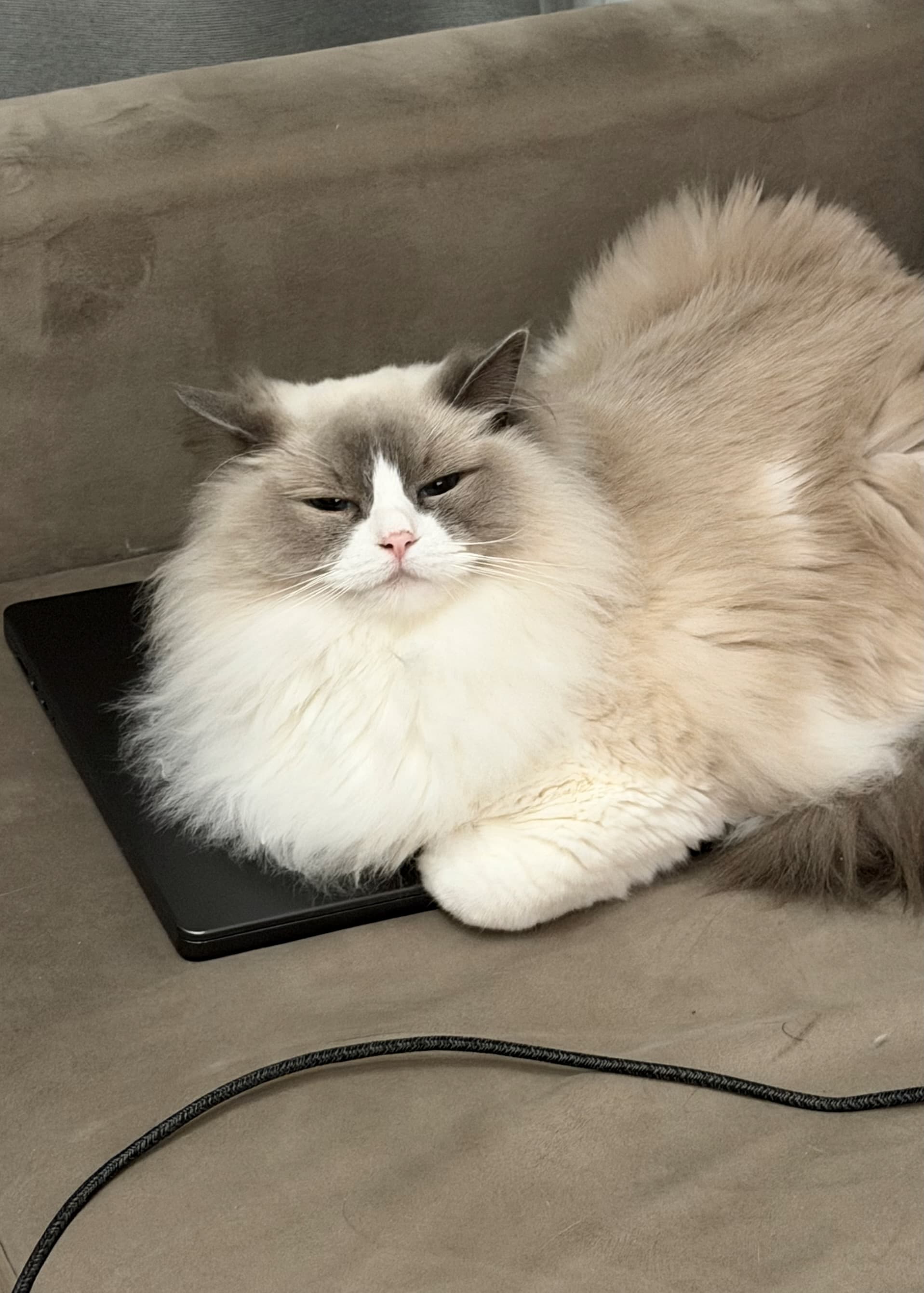 Aurora — an example photo uploaded to make a personalized tarot deck